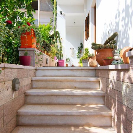 شقة أجنحة الإسكندر الأكبر ساراندا المظهر الخارجي الصورة